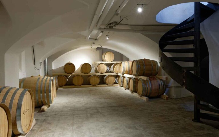 Chai Saint Olive cellar